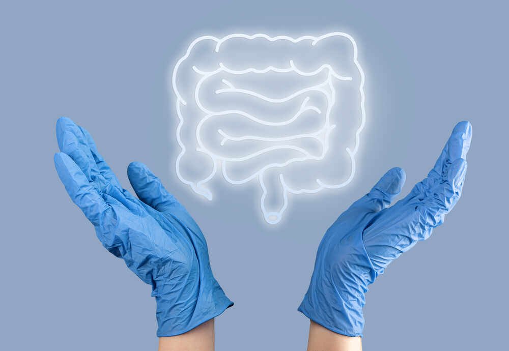 Intestine Organ Diagnostic Health Care Concept